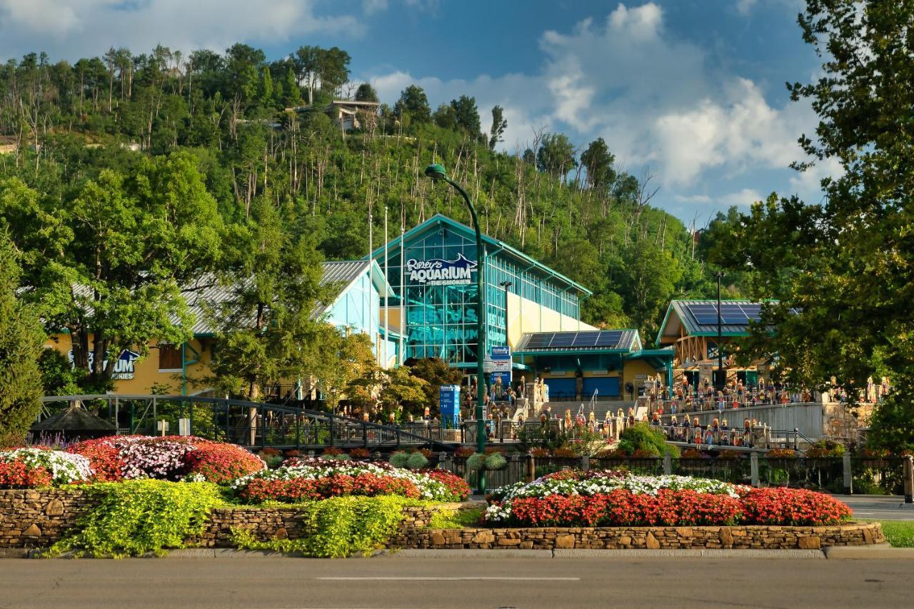 Love Shack Sevierville Exterior foto